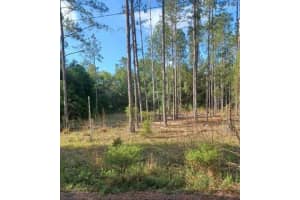 TBD SW CORNER SW95 AVE\SW 158 LN, DUNNELLON, FL 34432 - MLS#MFROM659990